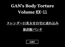 GBT EX-11 スレンダー巨乳女を自宅へ連れ込み暴虐腹パンチ