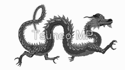 CG Dragon illustration