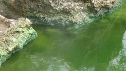 TORAGET 熱泉、 噴泉湖綠湖 3 印尼-萬鴉老的來源