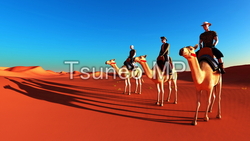 CG 插图骆驼