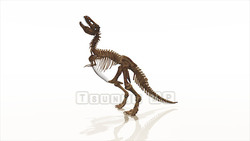 图像 CG 恐龙