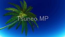 Illustration CG Palm trees