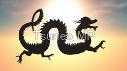 CG Dragon illustration