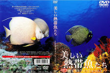 Beautiful tropical fish our tropical Vol.1