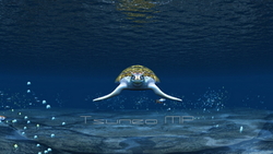 Image CG sea turtles