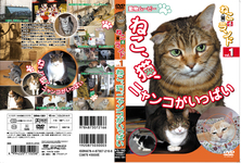 Neko (CAT) 各種土地 1 只貓，填充 nyanko 貓，-第 1 部分
