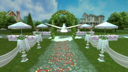 Image CG garden wedding