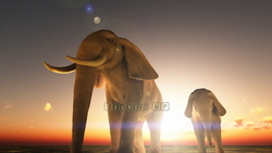 Image CG elephant
