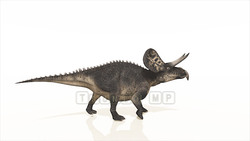 Image CG dinosaurs