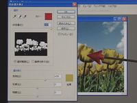 Photoshop CS2 使用課程顏色替換