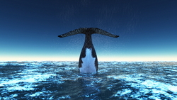 Image CG whales
