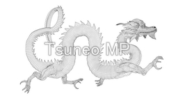 Illustration and CG Dragon (wire frame)