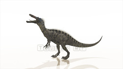 图像 CG 恐龙