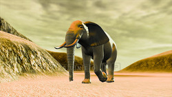 Image CG elephant