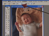 Photoshop CS2 使用课程道奇 / 刻录 / 海绵