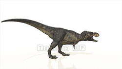 Image CG dinosaurs t-Rex