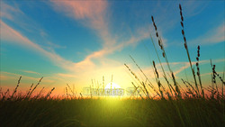 Image CG meadow