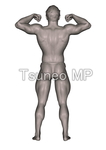 Illustration CG human body