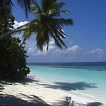 몰디브 해변 Beach of the Maldives 
