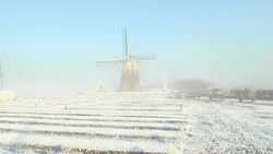雪の日・朝霧に包まれたふるさと広場の風車-3