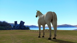 Image CG horses